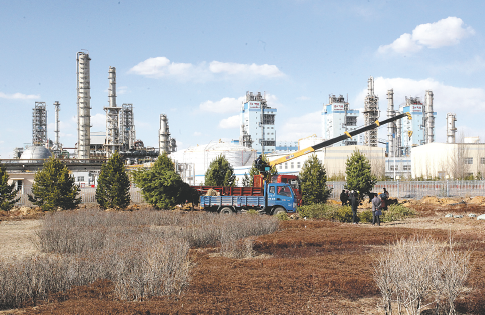 苦力王直播平台